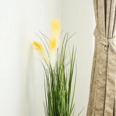 Mo Fely Appartement Braşov