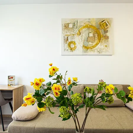 Mo Fely Appartement Braşov